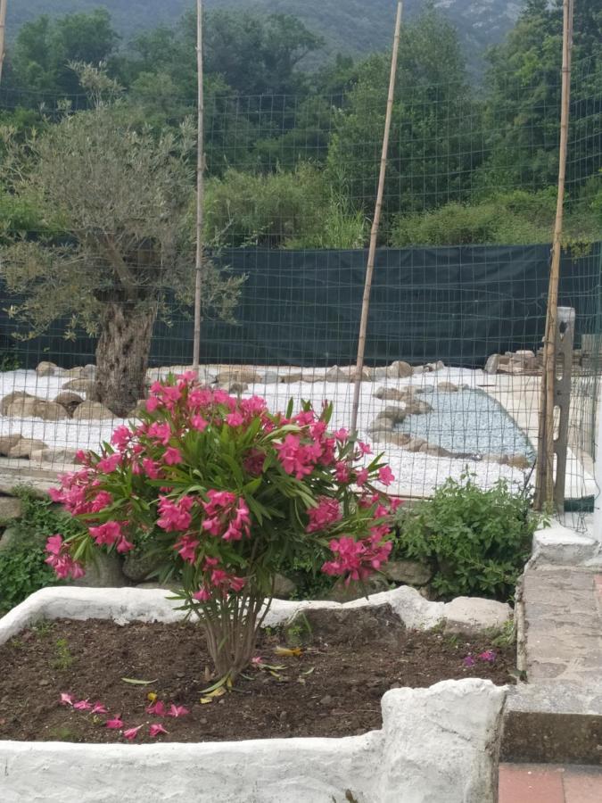 Bilocale La Tezia Apartman Marciana Marina Kültér fotó